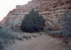 Thumbs/tn_118.Capitol Reef Ntl.Park.jpg